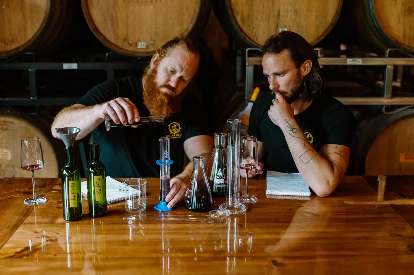 Petite Sirah vs Syrah: Key Differences Every Wine Lover Should Know