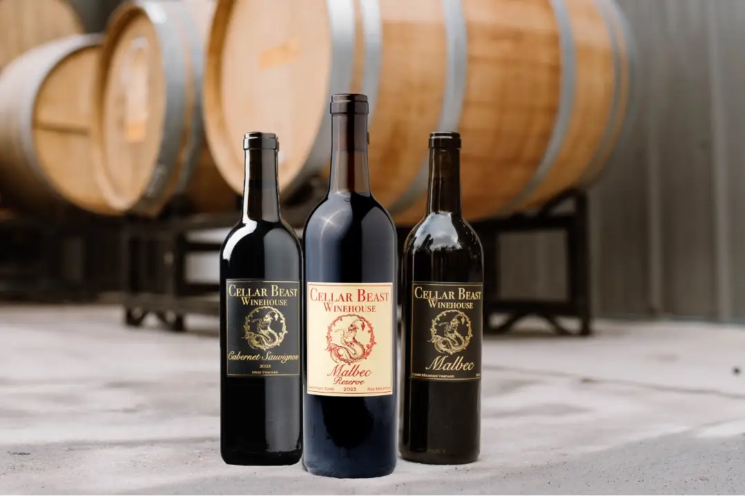 Malbec vs Cabernet Sauvignon: Which Bold Red Belongs in Your Glass Tonight?