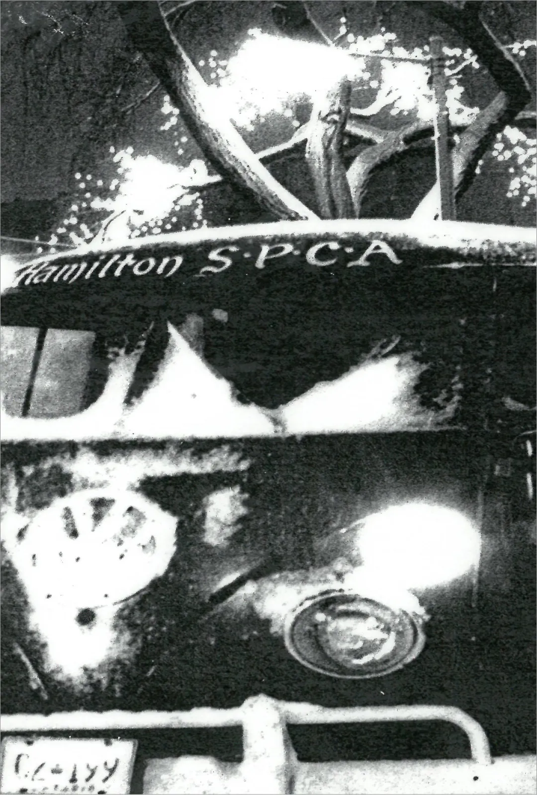 Black and white photo of a Hamilton SPCA vehicle with a dog inside, visible through the windshield.