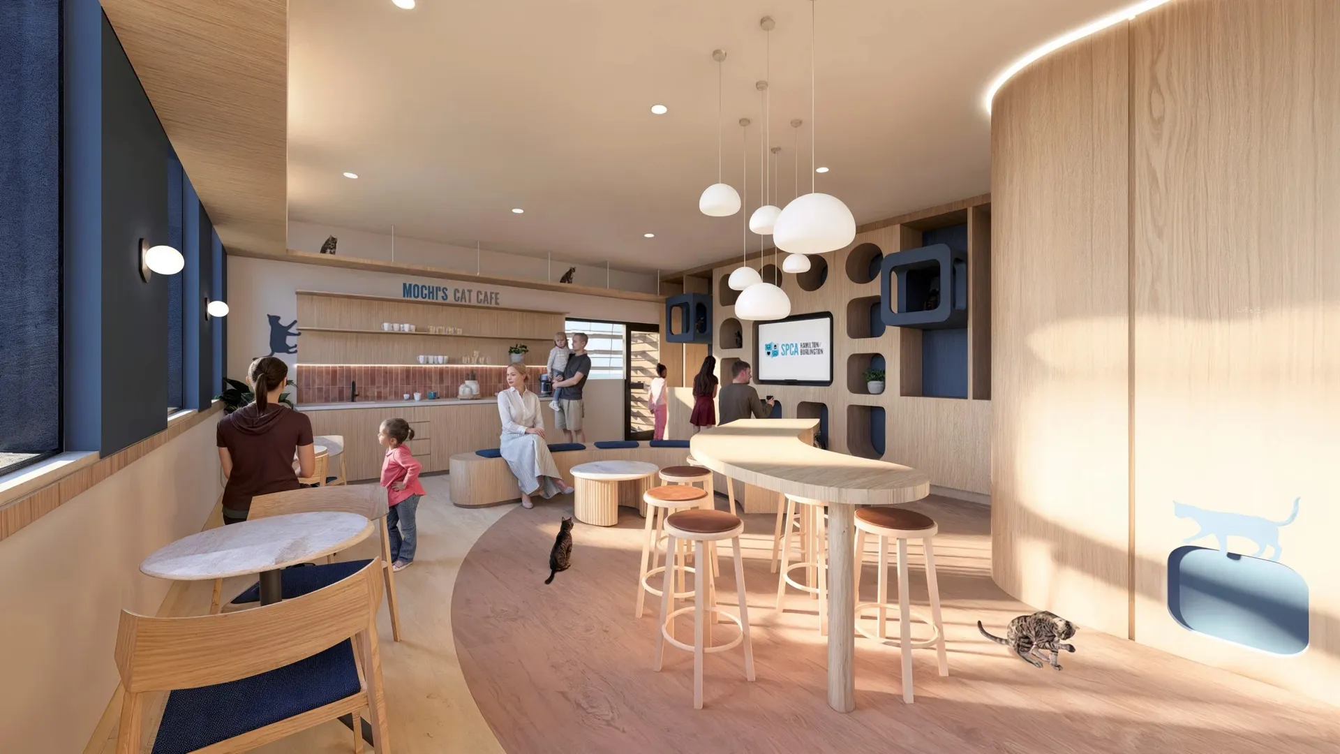 Modern cat café interior with wooden furniture, several people interacting, and cats roaming freely near seating areas and wall cubbies.