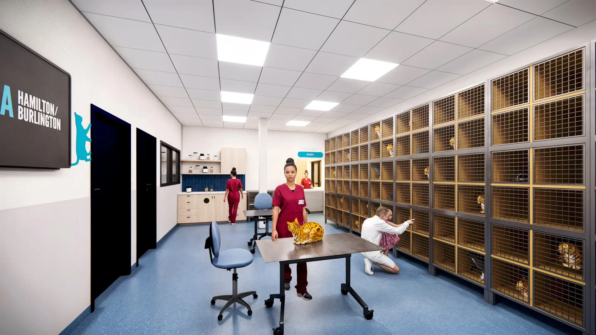 Veterinary clinic room with cages housing cats on the right, two people in red scrubs, one standing by a table with a cat, and a man kneeling interacting with a cat in a cage.