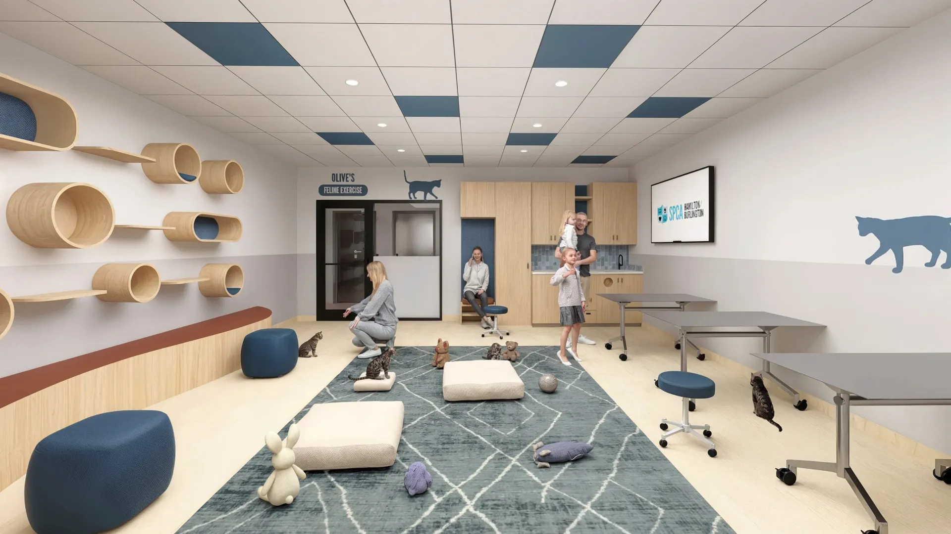 Modern cat playroom with climbing tunnels, cushions, toys, and people interacting with cats in a bright room.