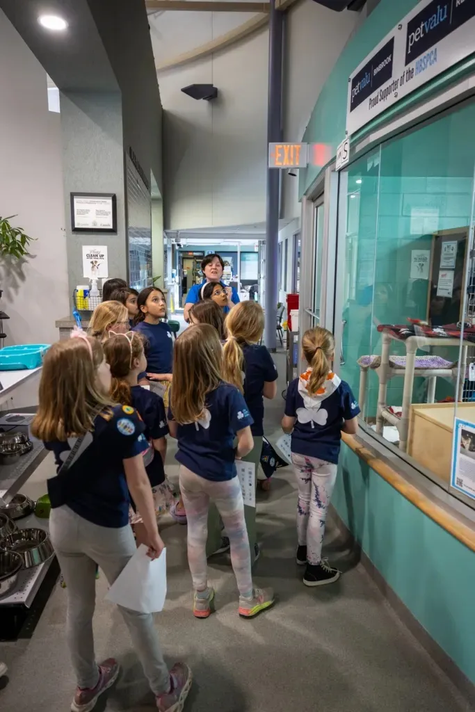 Group of young girls in navy blue shirts on a guided tour inside a pet care or animal shelter facility, looking into an enclosure.
