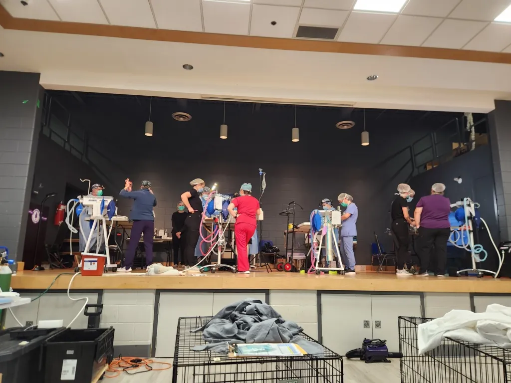 Group of medical staff wearing scrubs, masks, and hairnets working with ventilator machines on a stage in a makeshift clinical setup.