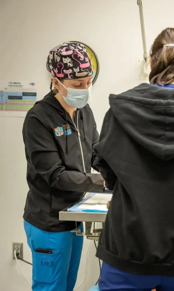 A masked healthcare worker in a cap with cat prints and blue scrubs assists another person in a medical setting.