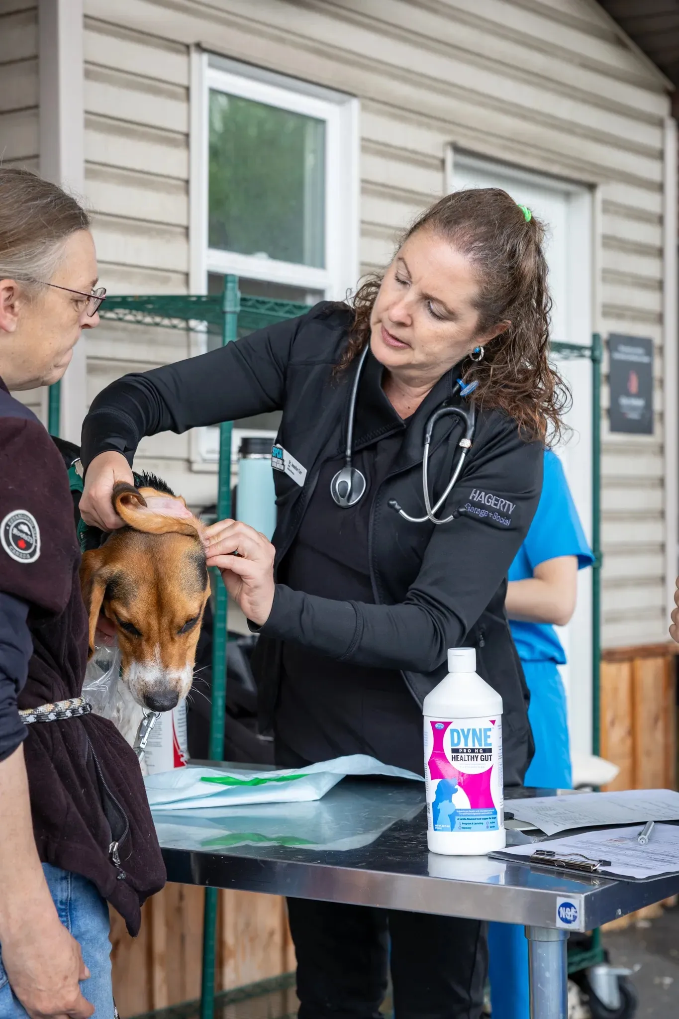 Veterinarian in black with a stethoscope examining a dog's ear while its owner holds the dog.