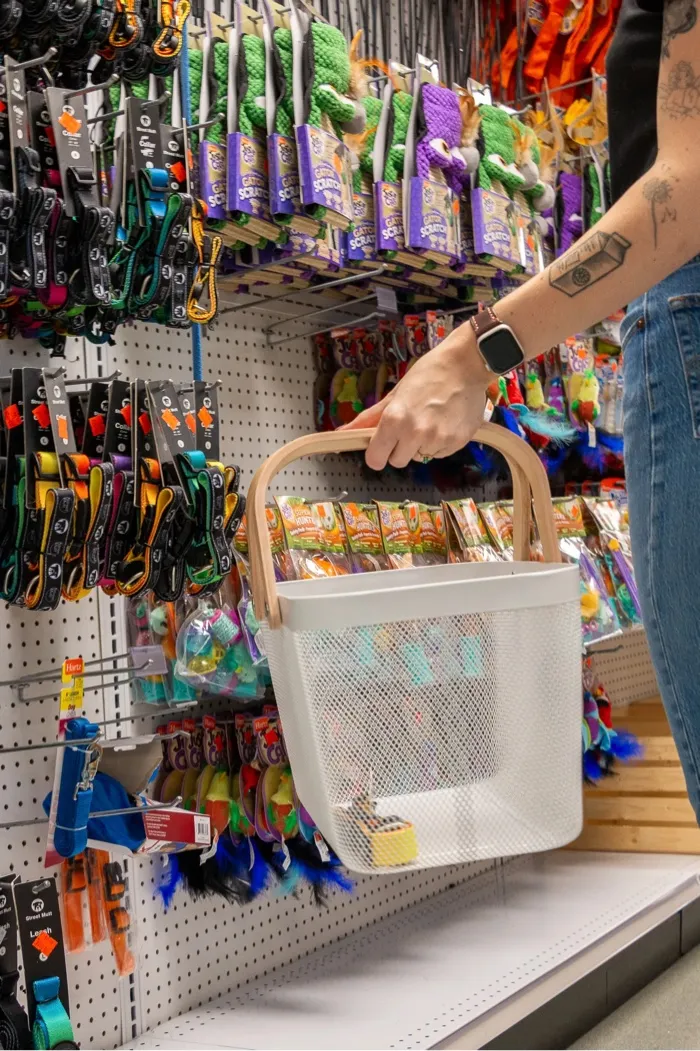 Person holding a white shopping basket in a pet store aisle with collars and toys displayed.