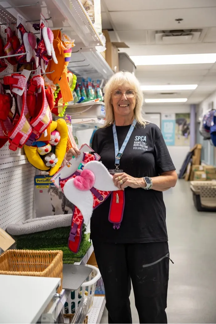Woman volunteer in SPCA Hamilton Burlington shirt holding colorful pet harness in a store aisle.