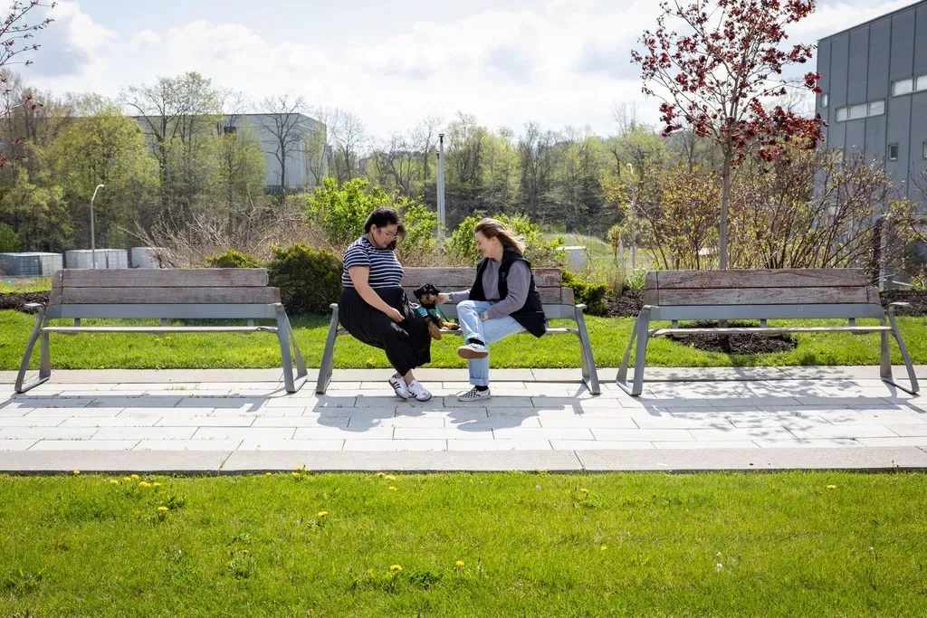 Two women sitting and talking on an outdoor bench with a small dog between them on a sunny day.