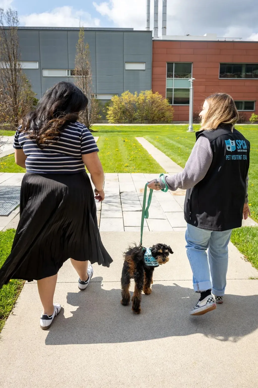 Two women walk on a sunny sidewalk with a small black and brown dog on a leash.