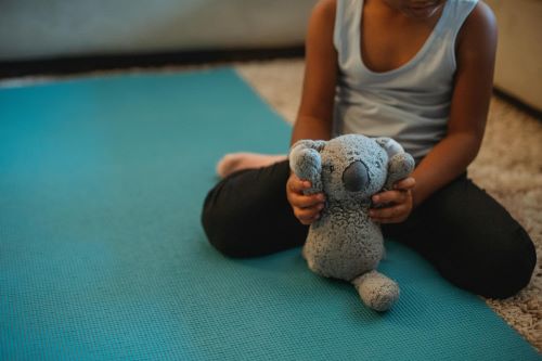 First day at nursery school: the cuddly toy, a transitional object between home and school, a reassuring object