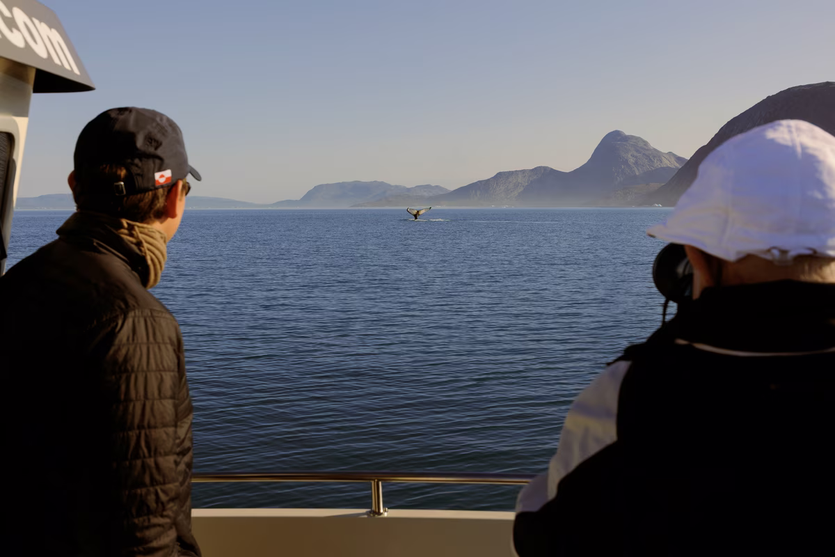 Two people on a boat watching a whale tail above the ocean with mountains in the distance.