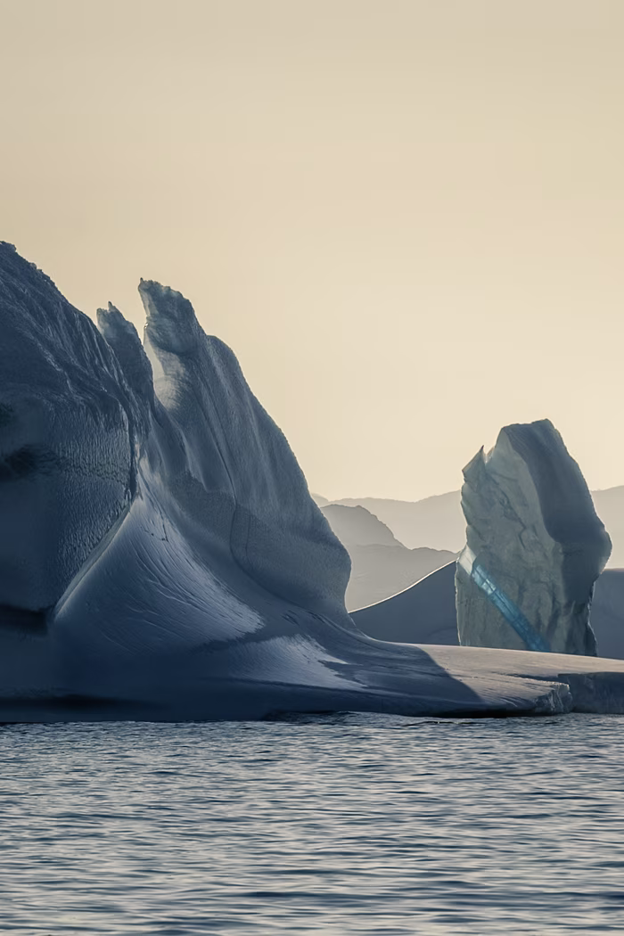 Large icebergs floating on calm water with distant mountain silhouettes in soft light.
