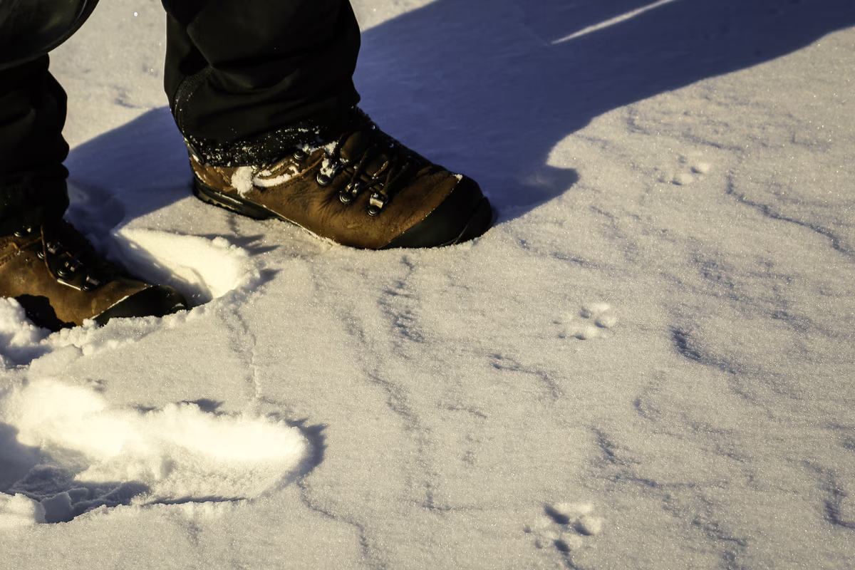 Close-up of brown hiking boots on snow with small animal tracks nearby and shadows.