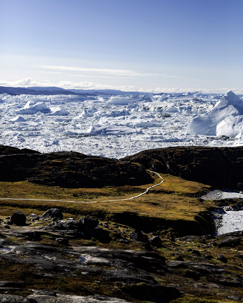 Green rugged terrain with a narrow path overlooking a vast field of floating icebergs under a clear sky.