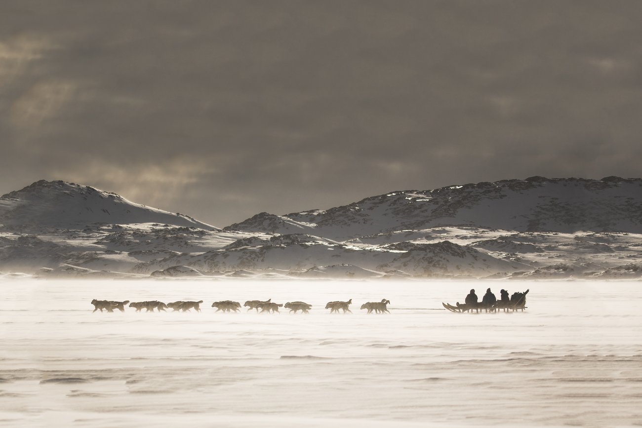 A dog sled team pulls people across a snowy landscape with mountains under a cloudy sky.