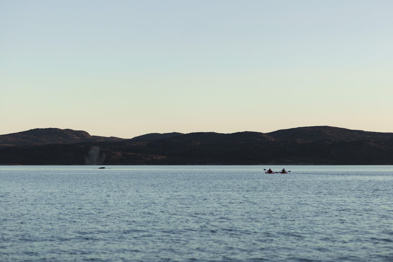 Two kayakers paddle on calm water near distant hills with whale spout visible in the water.