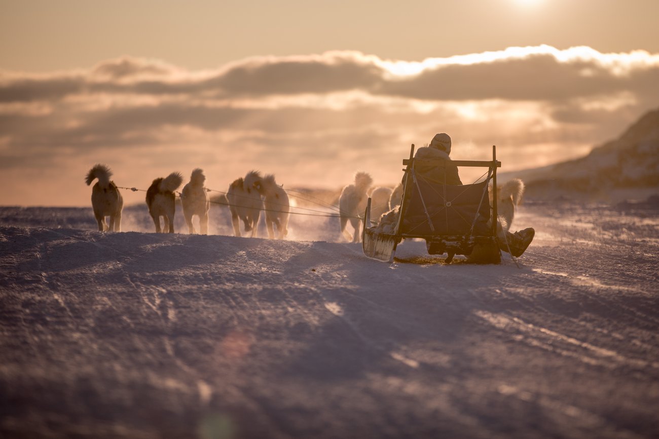 Person riding a dog sled pulled by six dogs across snow at sunset under cloudy sky.