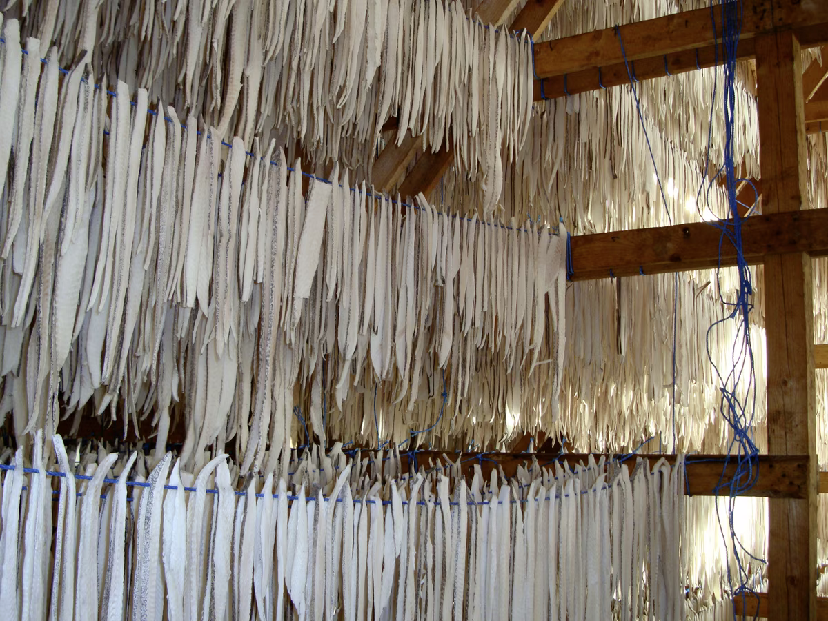 Numerous long white fish hanging on blue ropes in a wooden drying rack indoors.