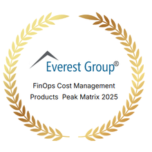 Everest Group FinOps Cost Management PEAK Matrix 2025