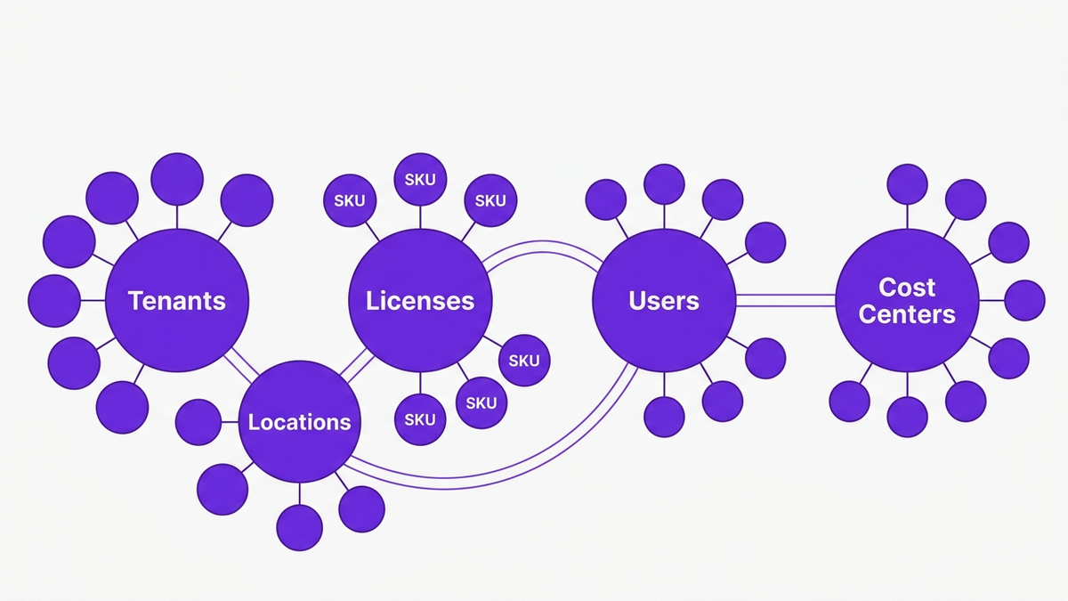Flat network-map illustration of connected nodes representing tenants, licenses, users, and cost centers during an entitlement audit