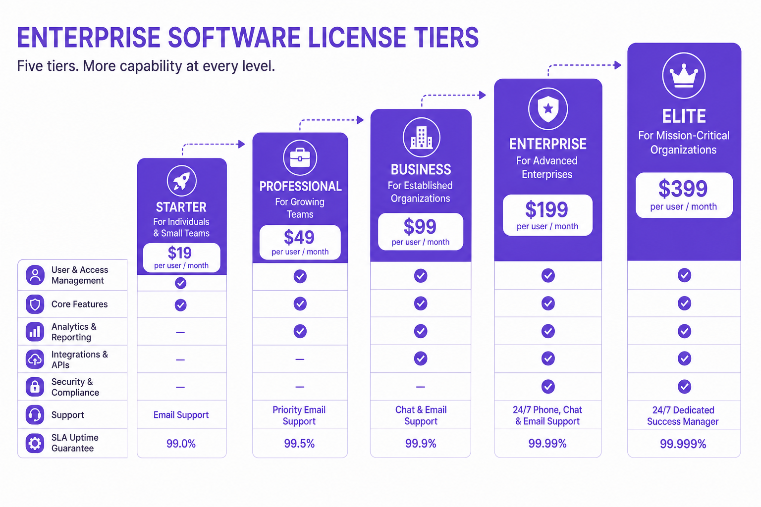 Infographic comparing core features and scalability differences across five software license types.