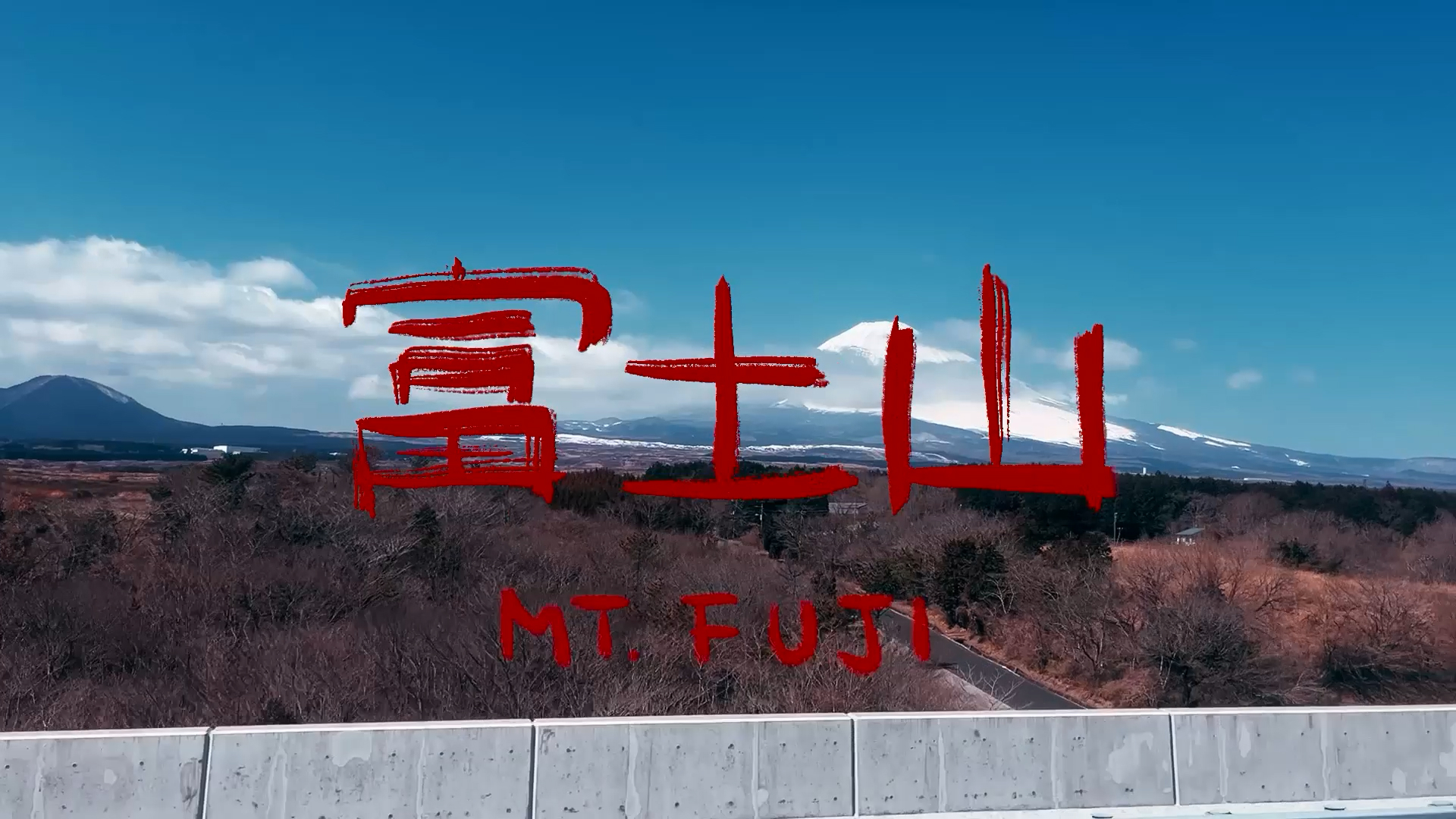 Japan Vlogs