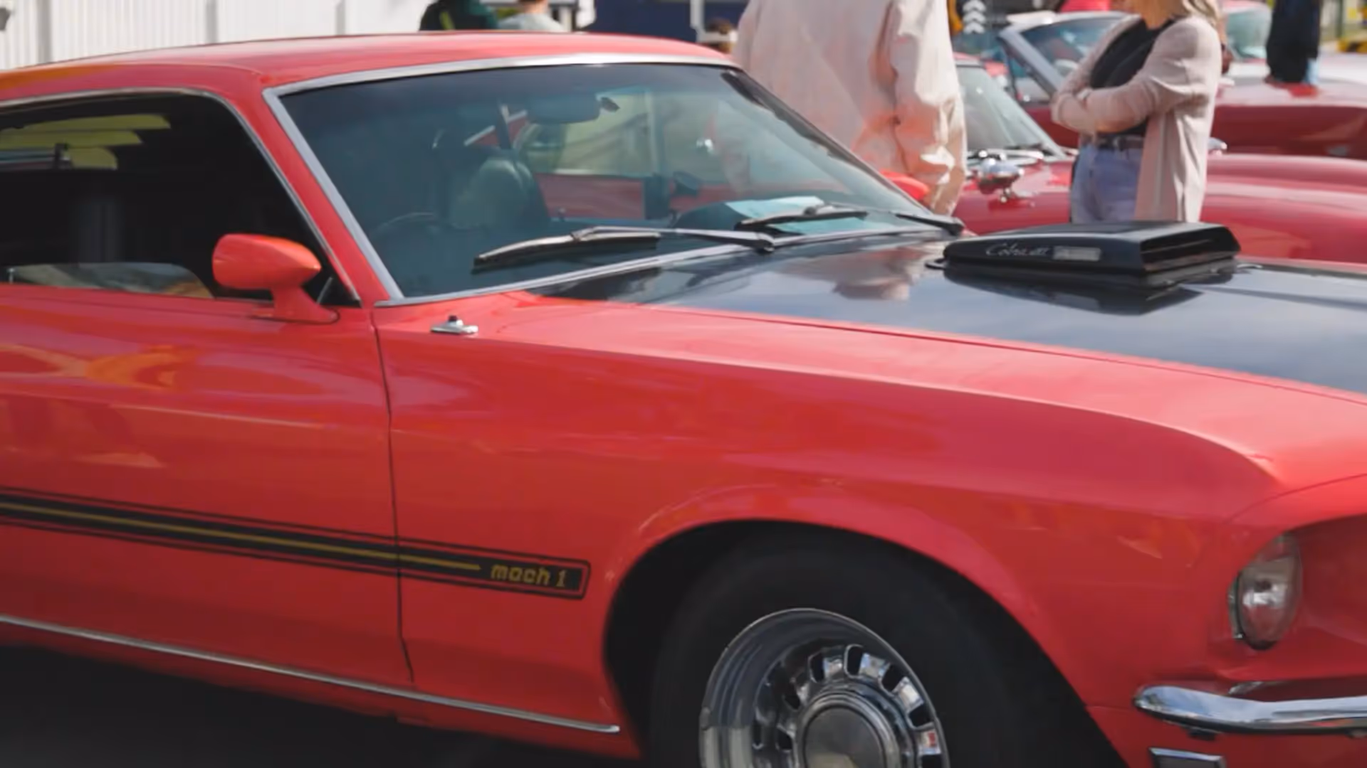 Its on Chevron festival Chevron Island Surfers Paradise