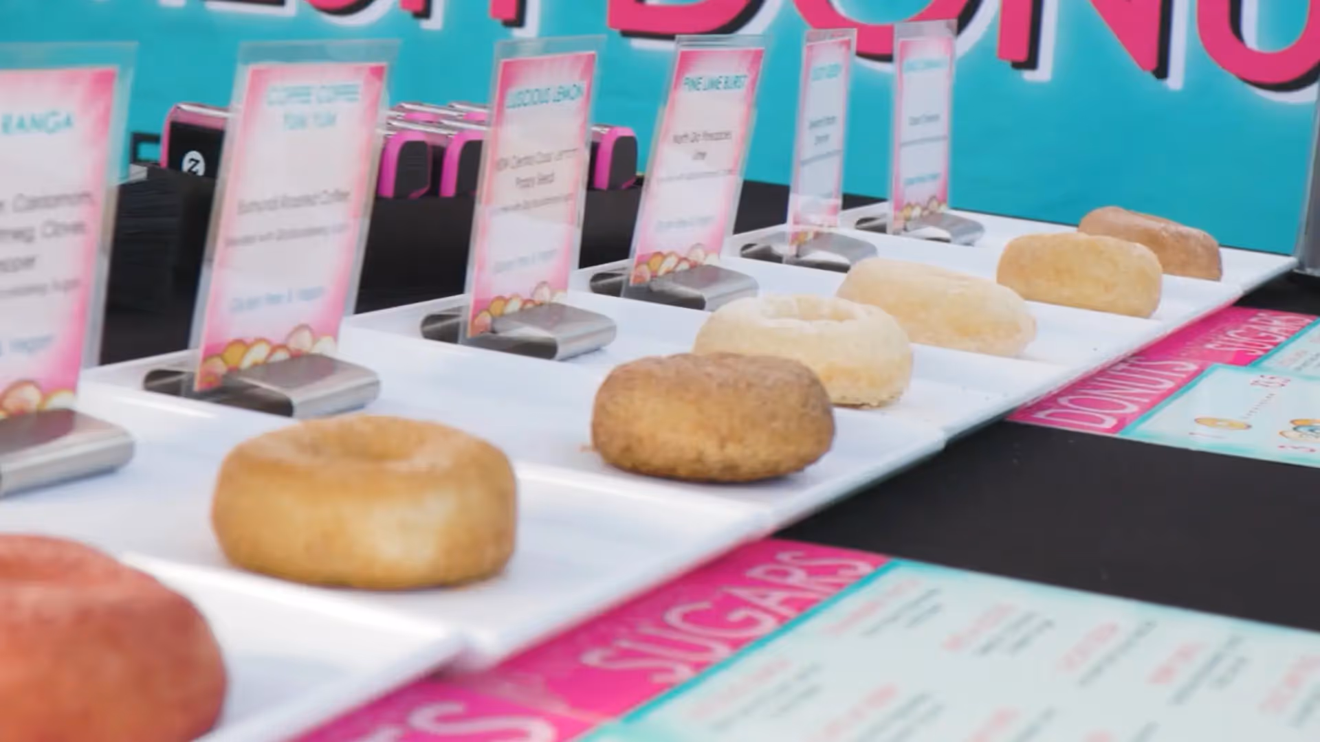 Its on Chevron festival Chevron Island Surfers Paradise