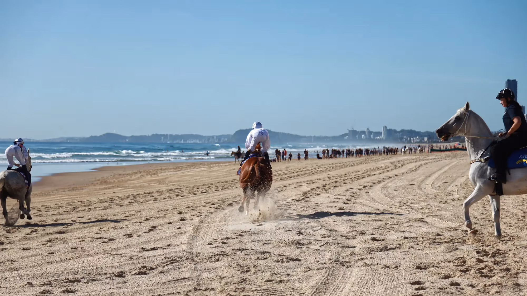 Magic Millions Horses race along Surfers Paradise beach Barrier Draw 2025