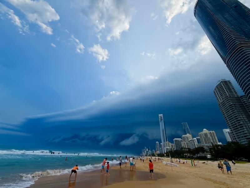 24 Jan 25 Storm Dogs