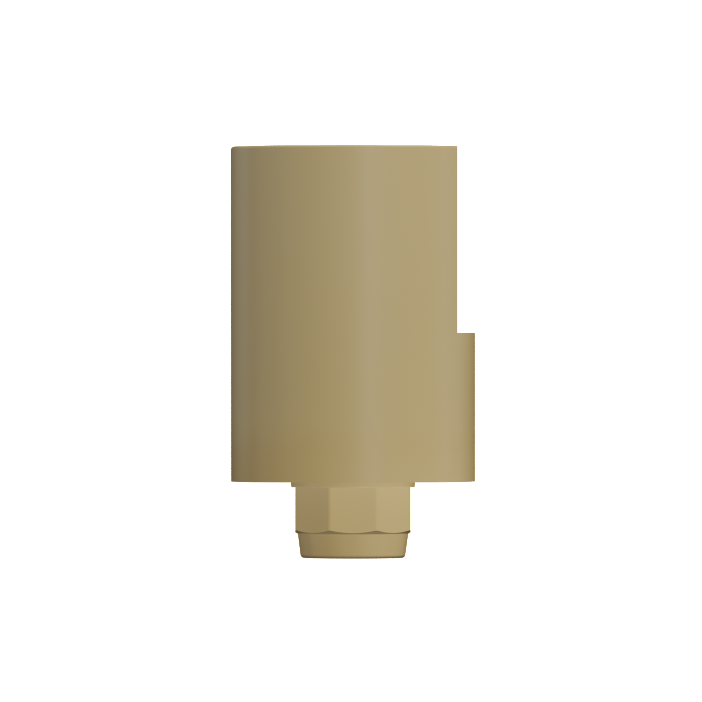 IOS Scandbody_ Plastic