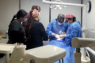 Advanced Training in Periodontal and Implant Surgery