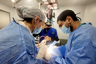 Advanced Periodontal Plastic and Implant Surgery