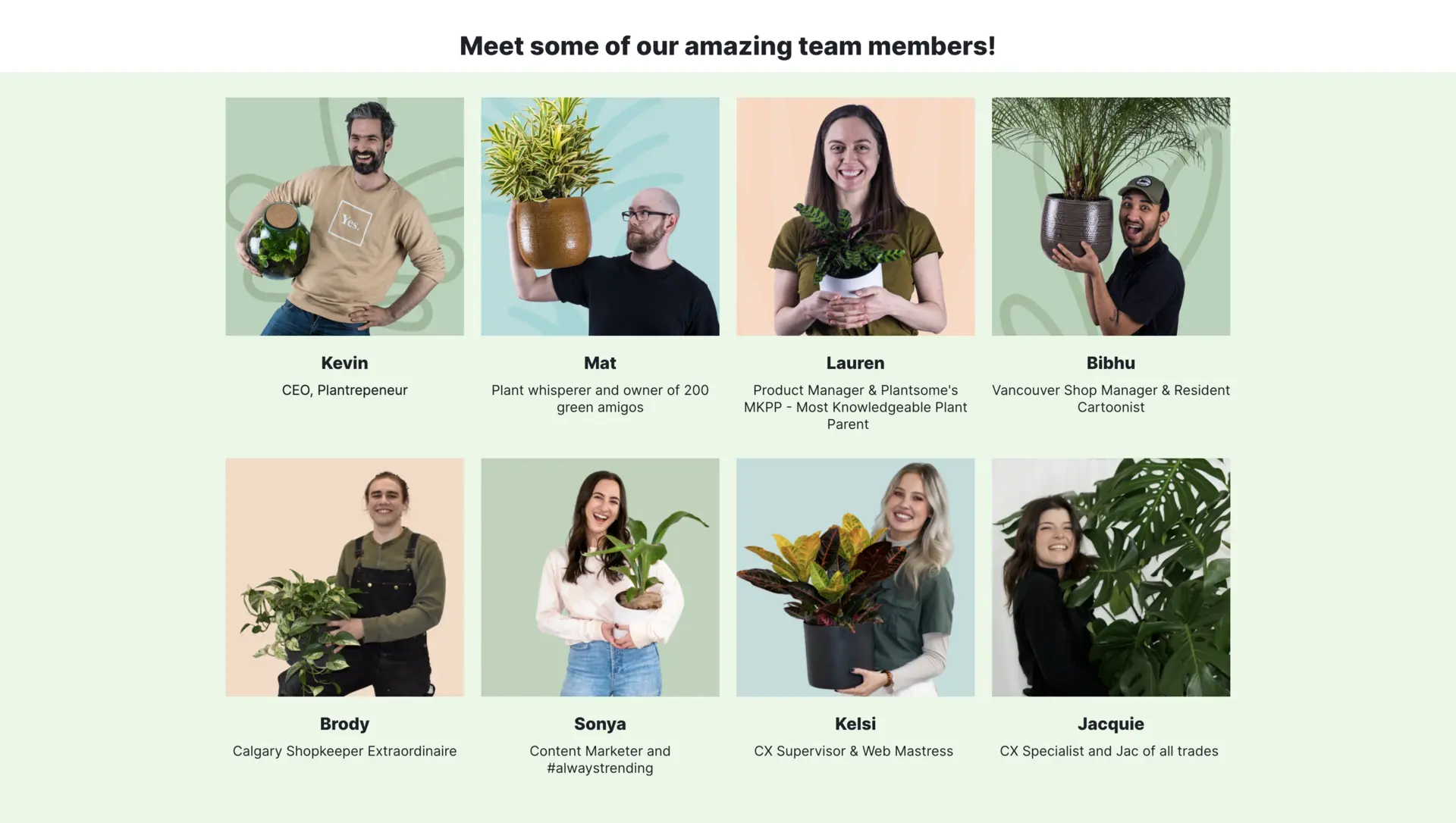 Team Pictures in Career Page