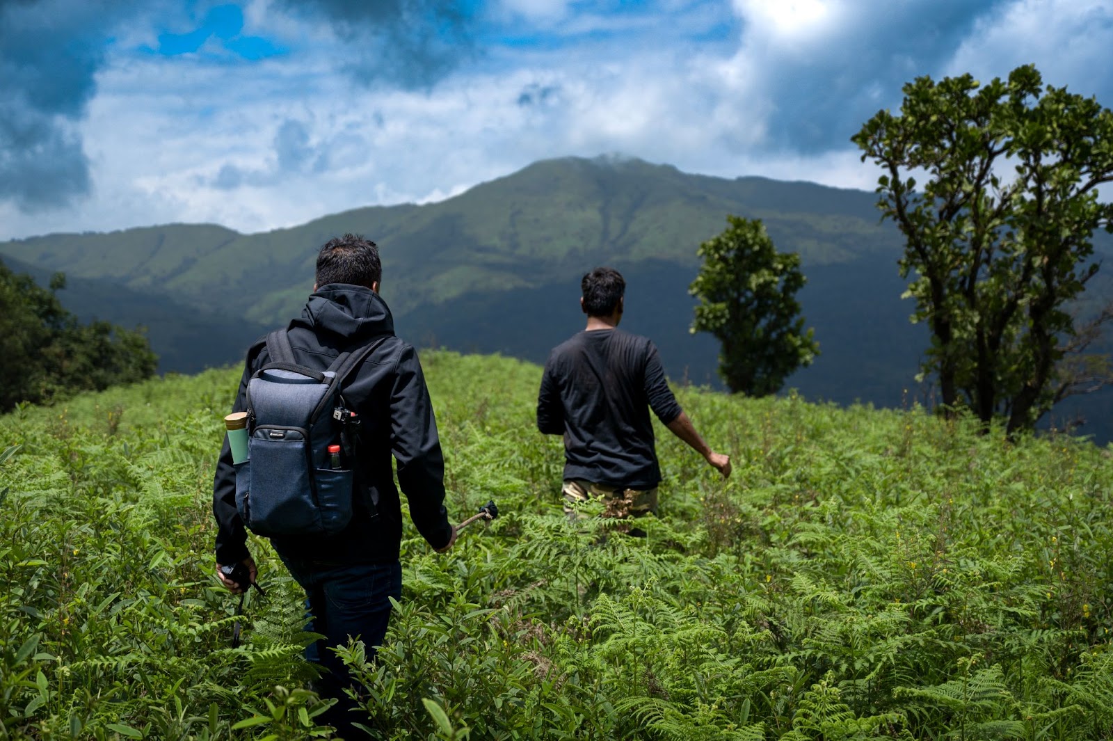 Guided Trekking Adventures