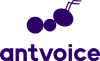 Antvoice company logo with a stylized ant and the word antvoice in lowercase letters.