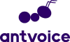 Antvoice company logo with a stylized ant and the word antvoice in lowercase letters.