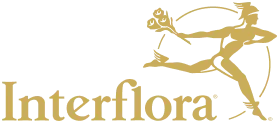 Interflora brand logo featuring a stylized figure holding a bouquet of flowers accompanied by the text 'Interflora'.