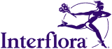 The word 'CORSAIR' in bold uppercase stylized font with a dark purple color on a transparent background.