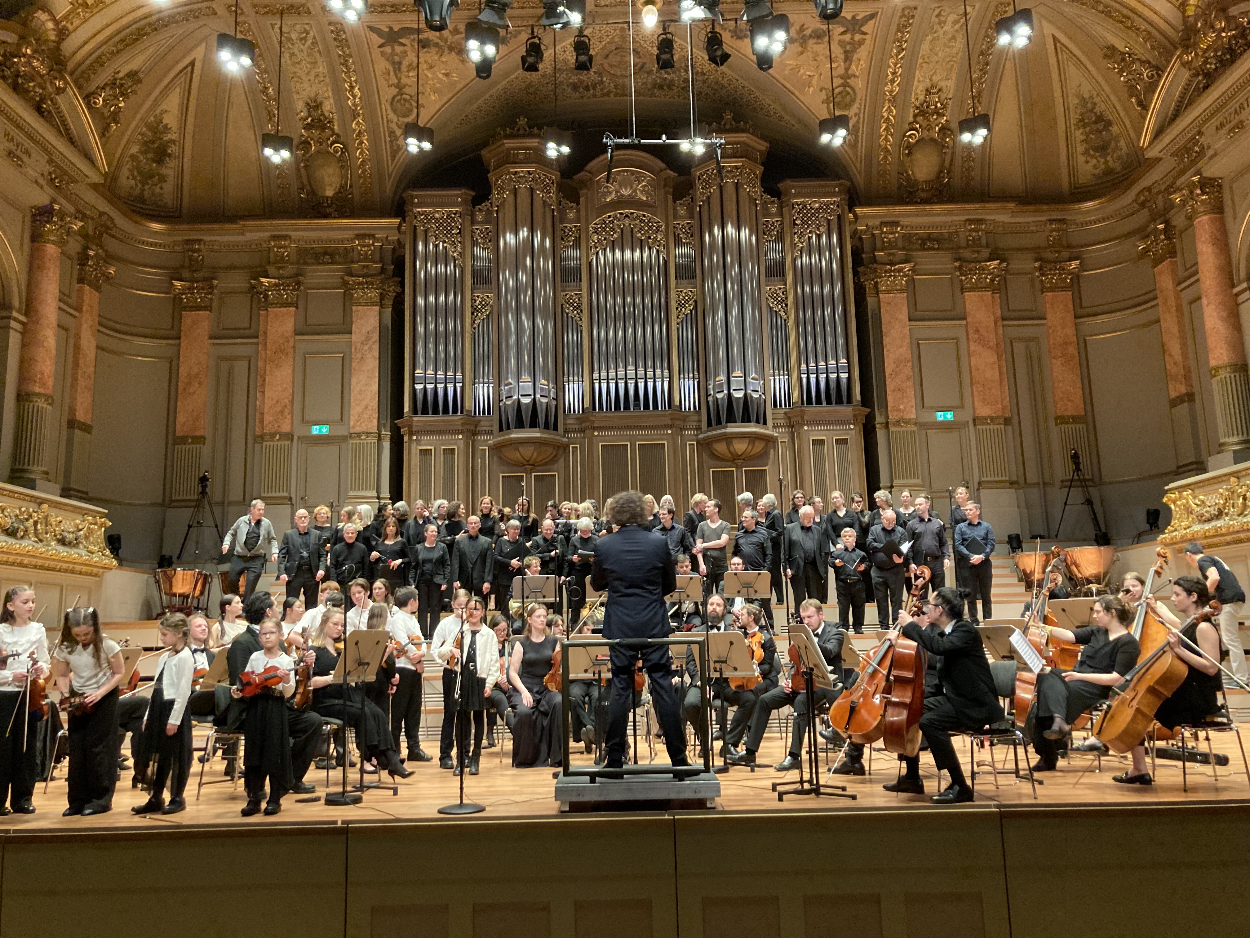 Highlight Tonhalle Experience