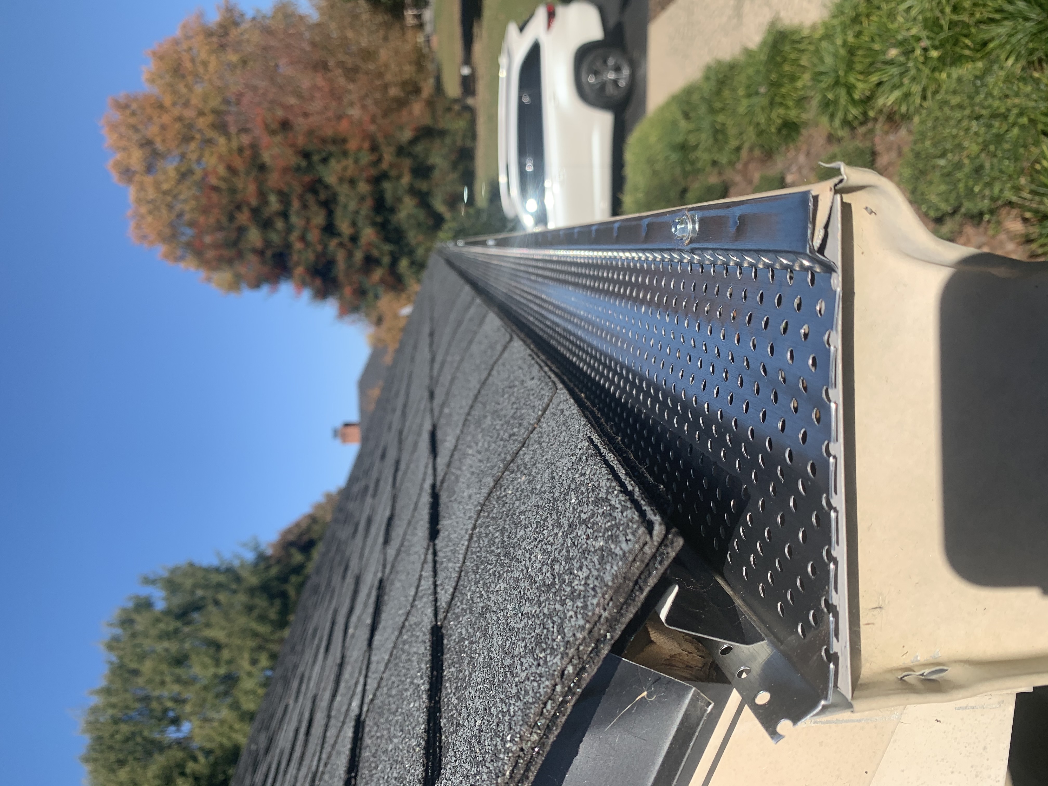 Leaf guard on a small house