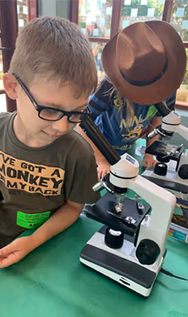 A child participating in the Learn Wild! Home School program looks through a microscope
