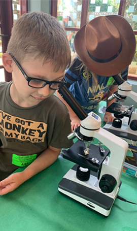 A child participating in the Learn Wild! Home School program looks through a microscope