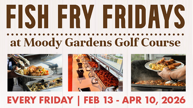 The pool at the Moody Gardens Hotel filled with hotel guests enjoying a sunny day out and the text Spring Sale 25% Off Best Available Rate