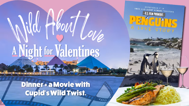 The pool at the Moody Gardens Hotel filled with hotel guests enjoying a sunny day out and the text Spring Sale 25% Off Best Available Rate