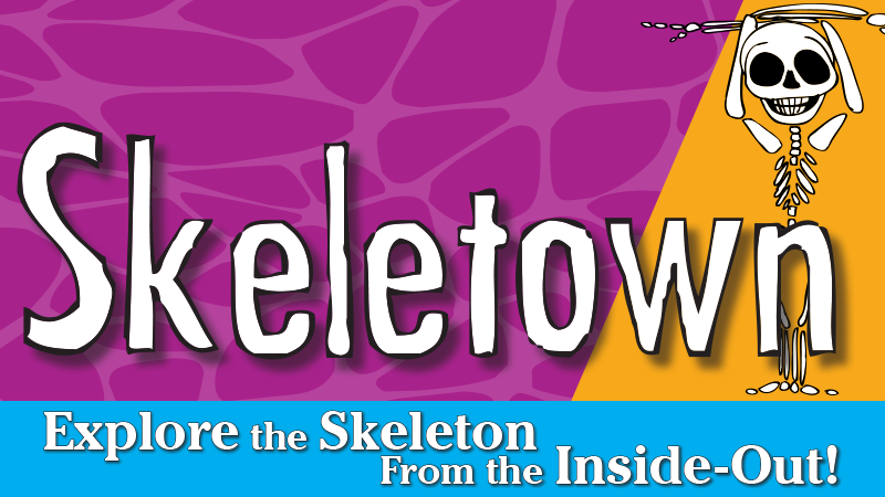 The pool at the Moody Gardens Hotel filled with hotel guests enjoying a sunny day out and the text Spring Sale 25% Off Best Available Rate