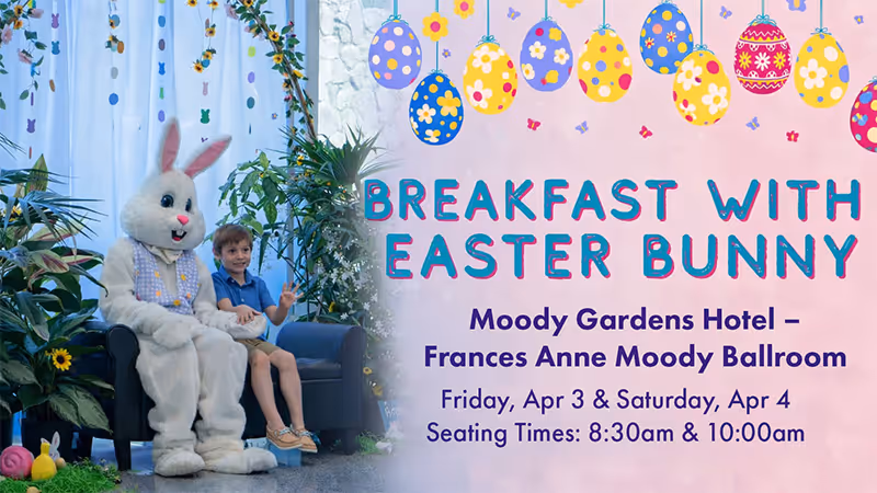 The pool at the Moody Gardens Hotel filled with hotel guests enjoying a sunny day out and the text Spring Sale 25% Off Best Available Rate