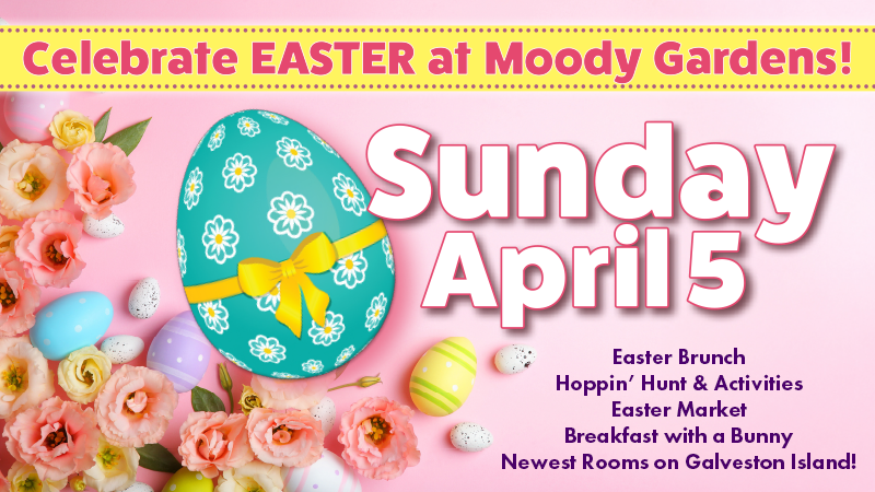 The pool at the Moody Gardens Hotel filled with hotel guests enjoying a sunny day out and the text Spring Sale 25% Off Best Available Rate