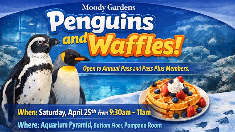 Family of three sits on a bed while the mom points to something in a book that a child is reading.